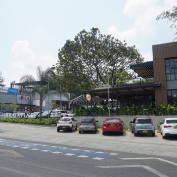 lyrata plaza 05